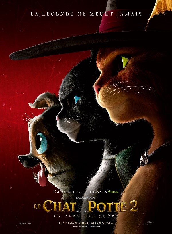 Affiche