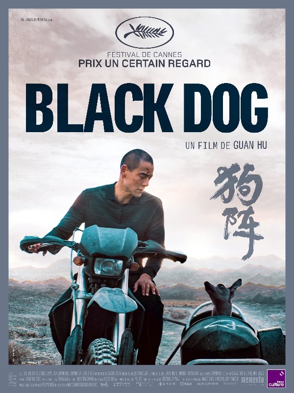 Affiche
