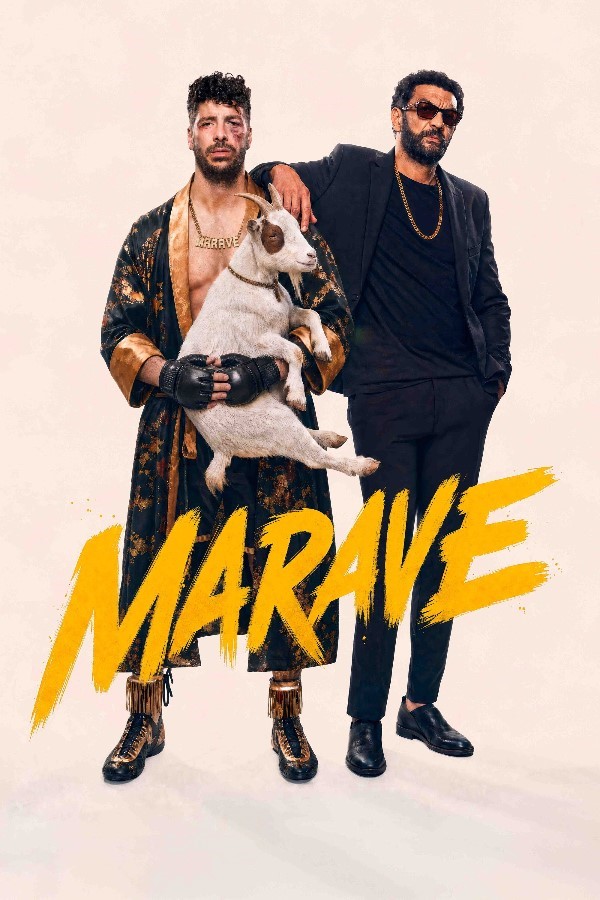 Affiche
